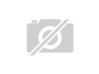 Suche ein tierliebes zuhause
